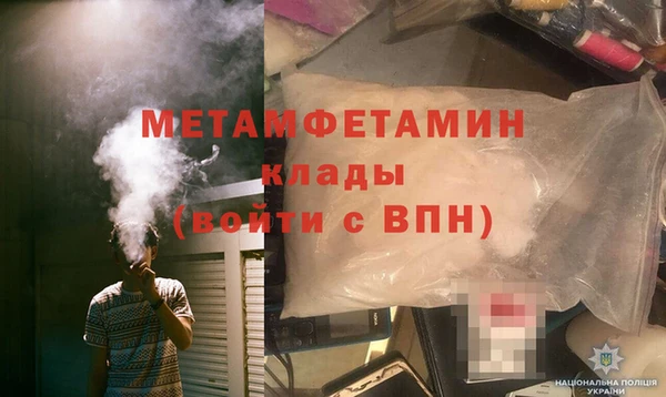 шишки Заволжье